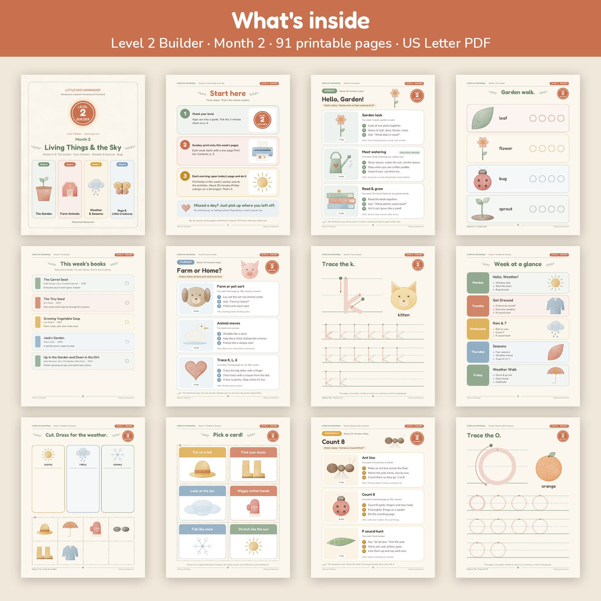 Level 2 Builder Month 2 homeschool preschool curriculum: what's inside, page grid